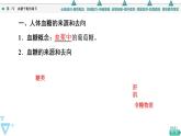选择性必修1 血糖平衡的调节（45张）  课件-高中生物新苏教版（2019）选择性必修1