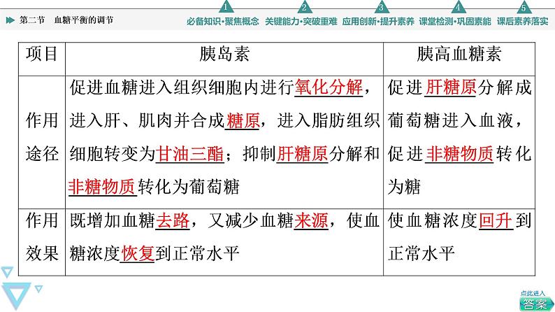 选择性必修1 血糖平衡的调节（45张）  课件-高中生物新苏教版（2019）选择性必修106