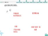 选择性必修1 植物生长素（87张）  课件-高中生物新苏教版（2019）选择性必修1