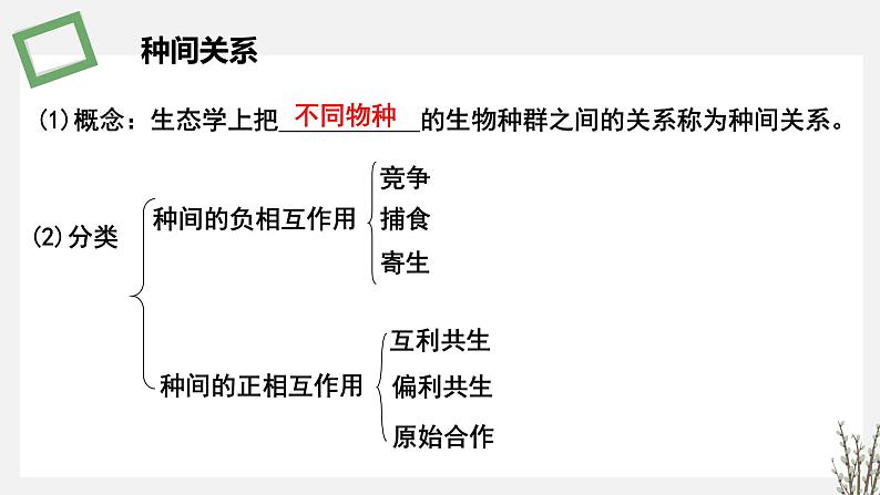 1.3  种间关系 课件 高中生物新苏教版选择性必修2第3页