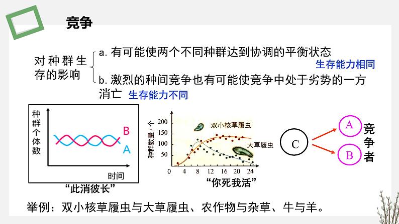 1.3  种间关系 课件 高中生物新苏教版选择性必修2第6页