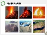 2.3  生物群落的演替 课件 高中生物新苏教版选择性必修2