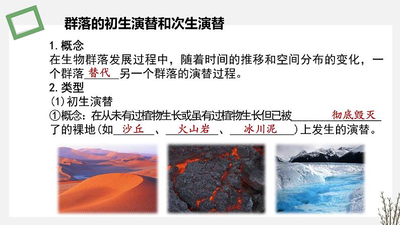 2.3  生物群落的演替 课件 高中生物新苏教版选择性必修2第5页