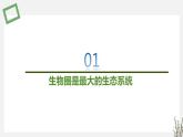 3.1  生态系统的结构 课件 高中生物新苏教版选择性必修2