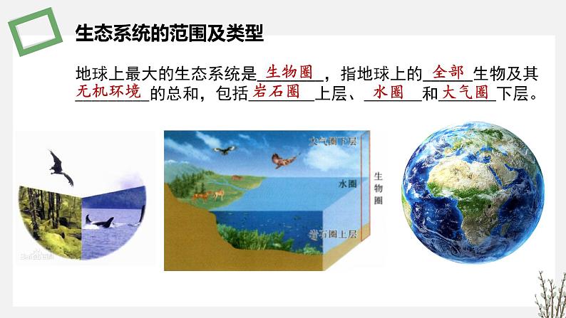 3.1  生态系统的结构 课件 高中生物新苏教版选择性必修203