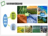 3.1  生态系统的结构 课件 高中生物新苏教版选择性必修2