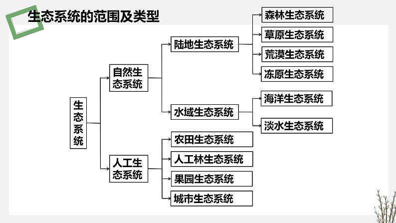 3.1  生态系统的结构 课件 高中生物新苏教版选择性必修205