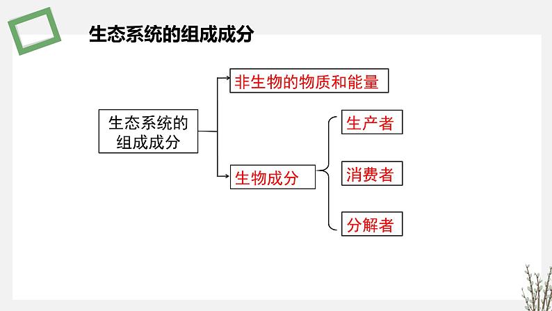 3.1  生态系统的结构 课件 高中生物新苏教版选择性必修208