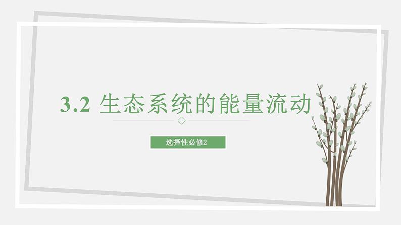 3.2 生态系统的能量流动 课件 高中生物新苏教版选择性必修201