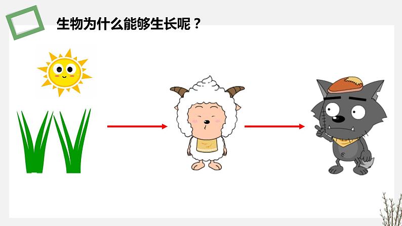 3.2 生态系统的能量流动 课件 高中生物新苏教版选择性必修202