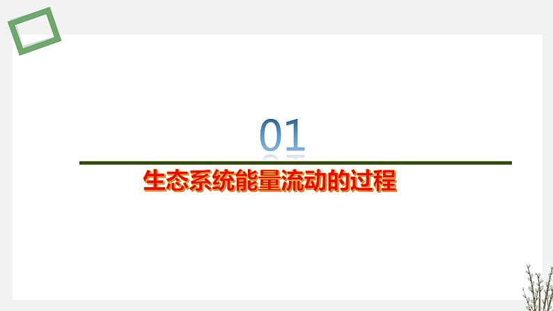 3.2 生态系统的能量流动 课件 高中生物新苏教版选择性必修203