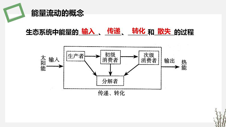 3.2 生态系统的能量流动 课件 高中生物新苏教版选择性必修204