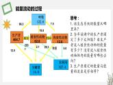 3.2 生态系统的能量流动 课件 高中生物新苏教版选择性必修2