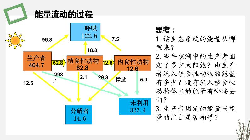 3.2 生态系统的能量流动 课件 高中生物新苏教版选择性必修205