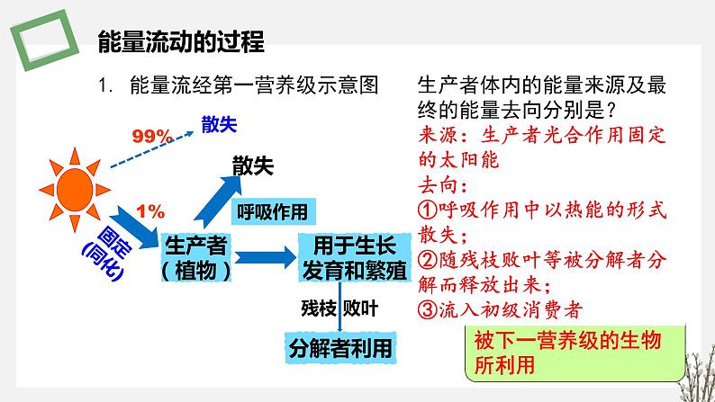 3.2 生态系统的能量流动 课件 高中生物新苏教版选择性必修206