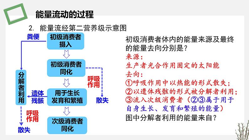 3.2 生态系统的能量流动 课件 高中生物新苏教版选择性必修207