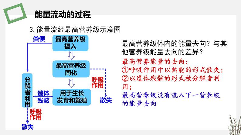 3.2 生态系统的能量流动 课件 高中生物新苏教版选择性必修208