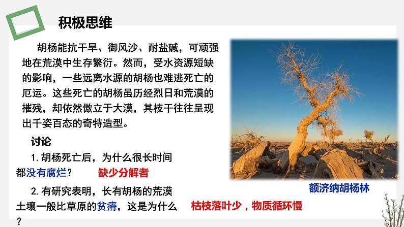 3.3 生态系统的物质循环 课件 高中生物新苏教版选择性必修202