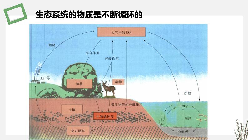 3.3 生态系统的物质循环 课件 高中生物新苏教版选择性必修207