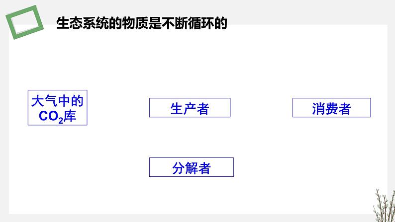 3.3 生态系统的物质循环 课件 高中生物新苏教版选择性必修208