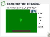 3.4 生态系统的信息传递 课件 高中生物新苏教版选择性必修2