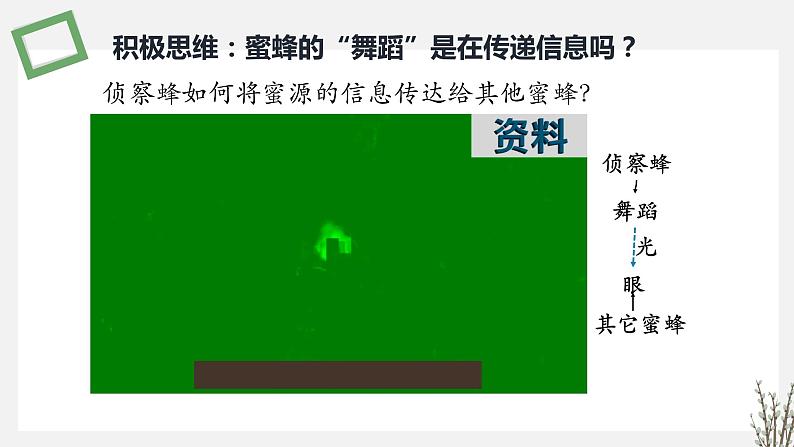 3.4 生态系统的信息传递 课件 高中生物新苏教版选择性必修2第4页