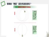 3.4 生态系统的信息传递 课件 高中生物新苏教版选择性必修2