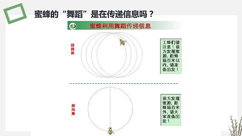 3.4 生态系统的信息传递 课件 高中生物新苏教版选择性必修2第5页