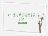 3.5  生态系统的稳态及维持 课件 高中生物新苏教版选择性必修2