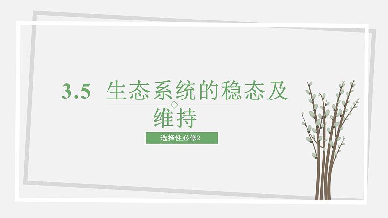 3.5  生态系统的稳态及维持 课件 高中生物新苏教版选择性必修201