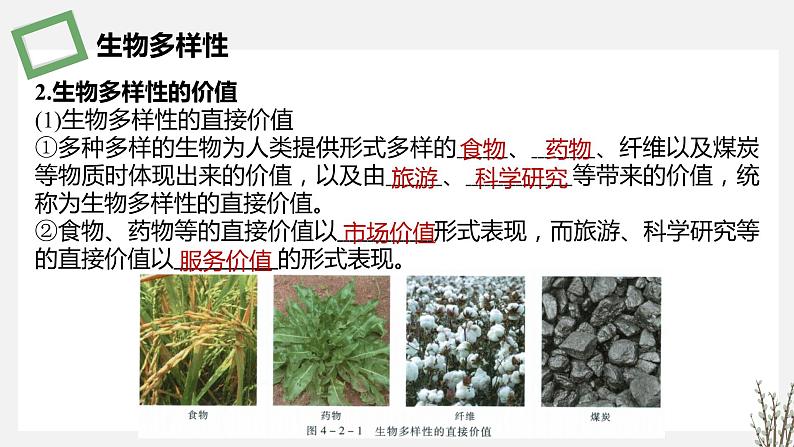 4.2 创造人与自然的和谐 课件 高中生物新苏教版选择性必修2第5页