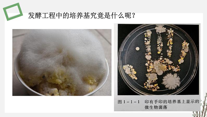 1.1 发酵工程的培养基 课件 高中生物新苏教版选择性必修302