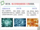 1.1 发酵工程的培养基 课件 高中生物新苏教版选择性必修3