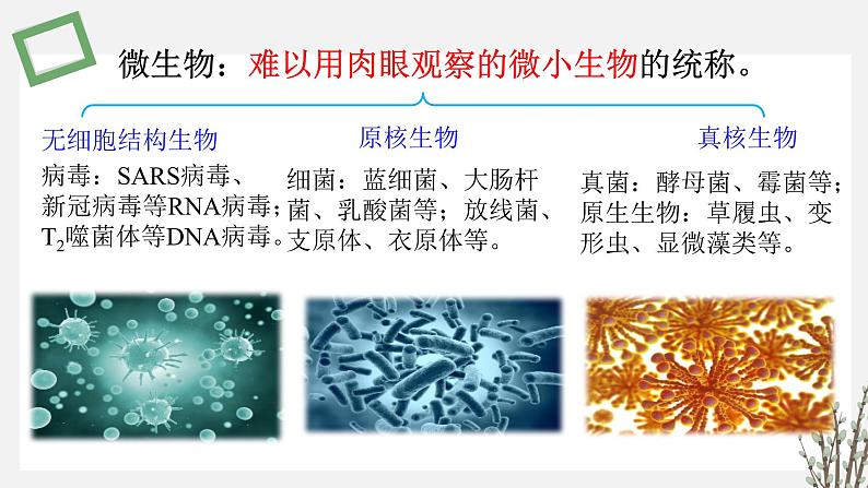 1.1 发酵工程的培养基 课件 高中生物新苏教版选择性必修304