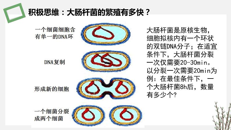 1.4  发酵工程及其应用 课件 高中生物新苏教版选择性必修302