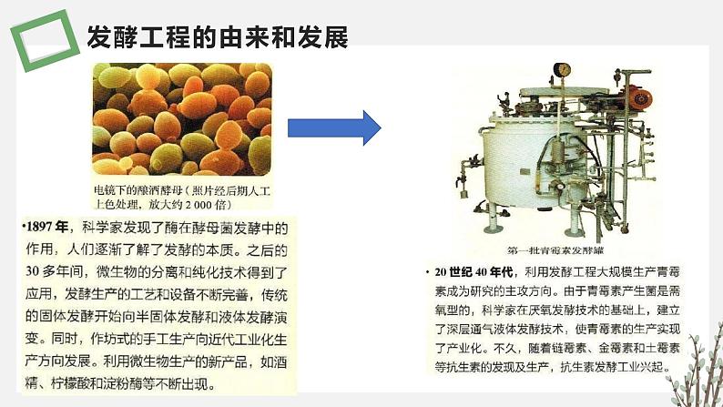 1.4  发酵工程及其应用 课件 高中生物新苏教版选择性必修307