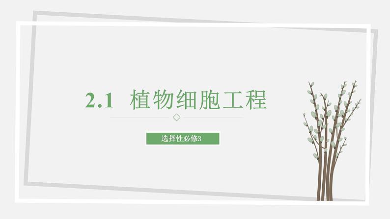 2.1  植物细胞工程 课件 高中生物新苏教版选择性必修301