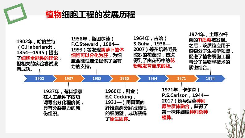 2.1  植物细胞工程 课件 高中生物新苏教版选择性必修303