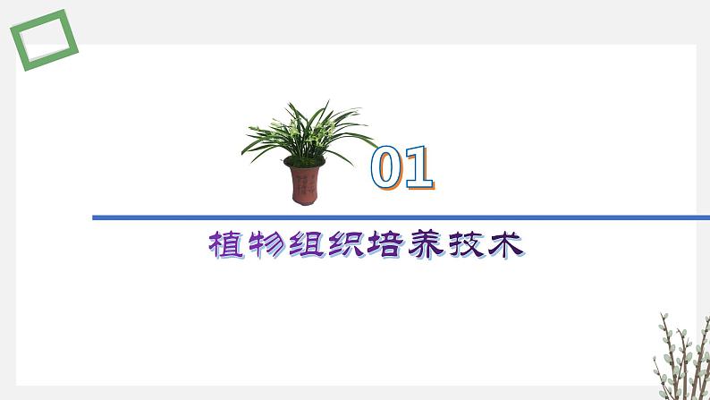 2.1  植物细胞工程 课件 高中生物新苏教版选择性必修305