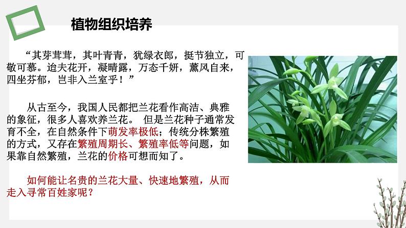 2.1  植物细胞工程 课件 高中生物新苏教版选择性必修306