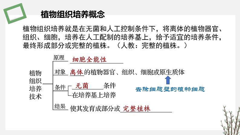 2.1  植物细胞工程 课件 高中生物新苏教版选择性必修307