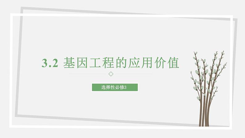 3.2 基因工程的应用价值 课件 高中生物新苏教版选择性必修301