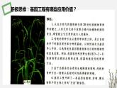 3.2 基因工程的应用价值 课件 高中生物新苏教版选择性必修3