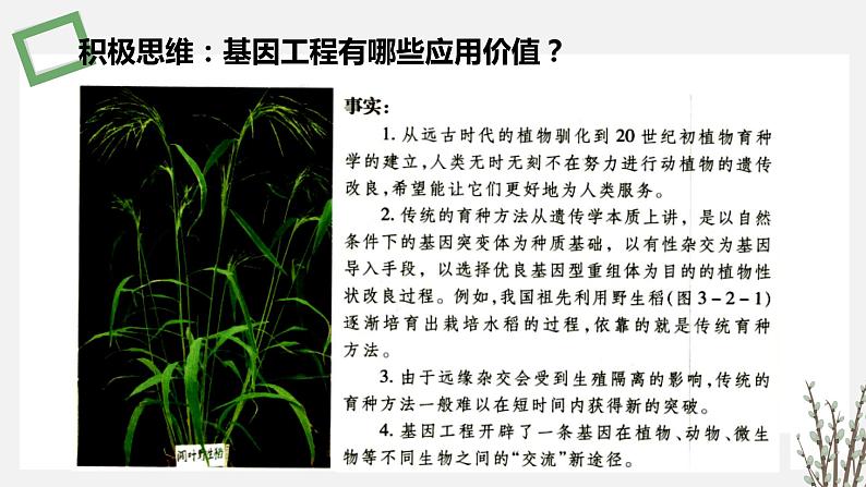 3.2 基因工程的应用价值 课件 高中生物新苏教版选择性必修302