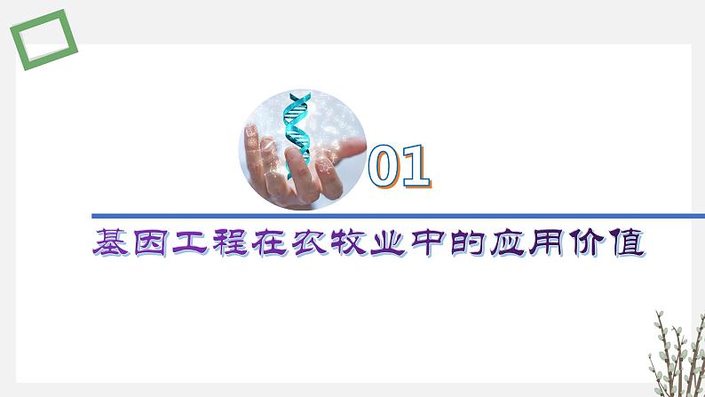 3.2 基因工程的应用价值 课件 高中生物新苏教版选择性必修303