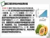 3.2 基因工程的应用价值 课件 高中生物新苏教版选择性必修3