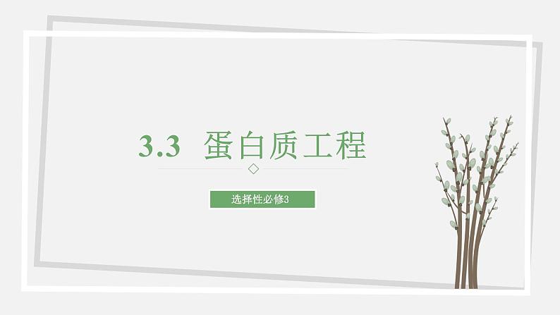 3.3  蛋白质工程 课件 高中生物新苏教版选择性必修第1页