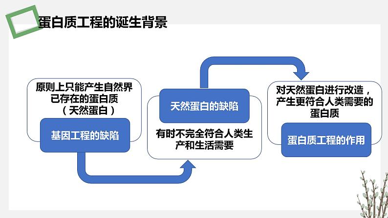 3.3  蛋白质工程 课件 高中生物新苏教版选择性必修第4页