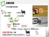 4.2  我国禁止生殖性克隆人 课件 高中生物新苏教版选择性必修