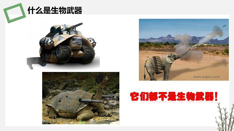 4.3  禁止生物武器 课件 高中生物新苏教版选择性必修02